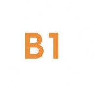 B1